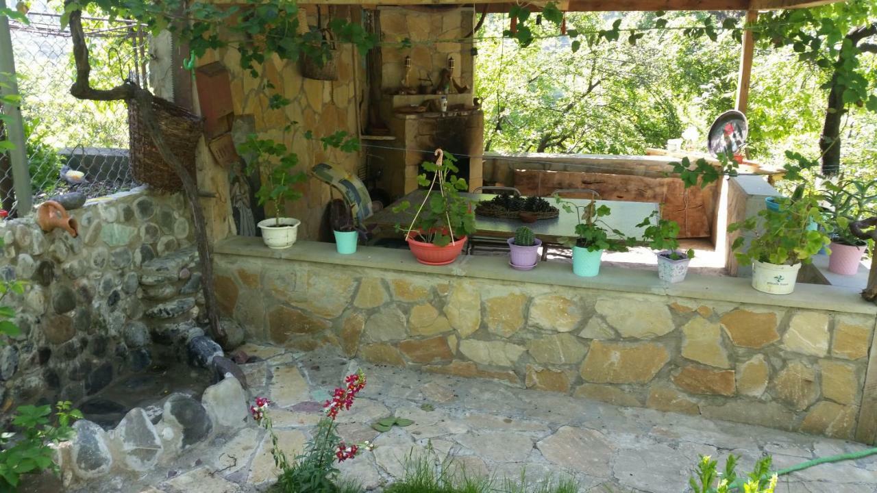 بيت ضيافة أوشا Mtsʼkhetʼa المظهر الخارجي الصورة