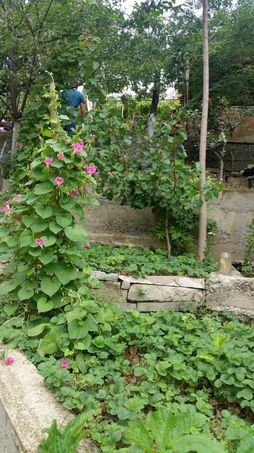 بيت ضيافة أوشا Mtsʼkhetʼa المظهر الخارجي الصورة